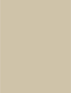 TAUPE BRILHO